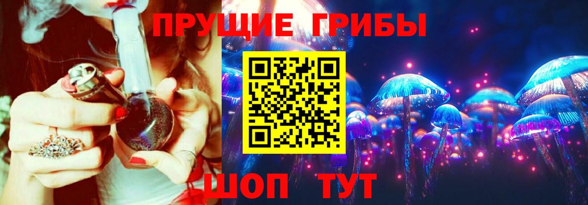 Псилоцибиновые грибы Cubensis Архангельск