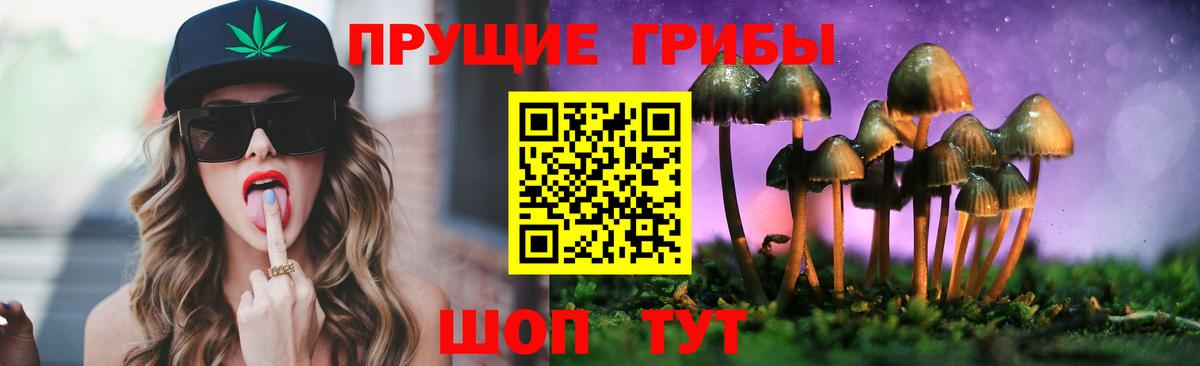 Архангельск  Псилоцибиновые грибы Cubensis  Вход с VPN 